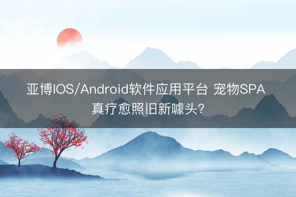 亚博IOS/Android软件应用平台 宠物SPA 真疗愈照旧新噱头？